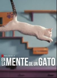 pelicula En la mente de un gato