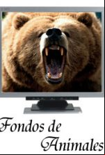 pelicula Fondos de Escritorio – Animales