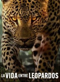 pelicula La vida entre leopardos